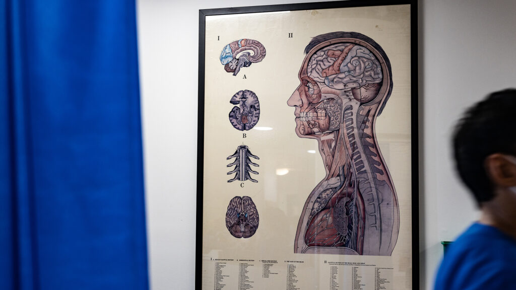 A neurosciences poster of the brain on the wall.