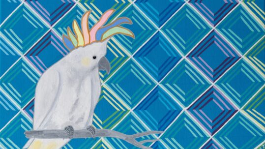 A white cockatoo sits on a branch, with a background of concentric diamonds in shades of blue.